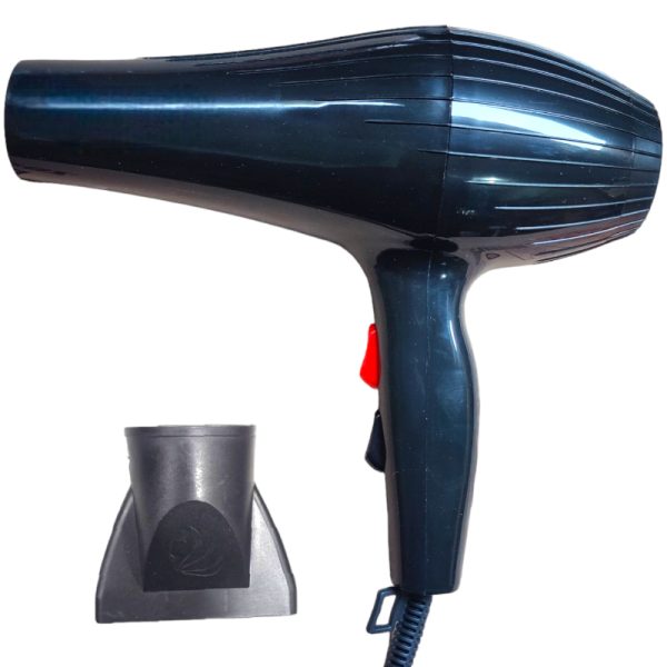 Hair Dryer (model And Company Is Specified Best)